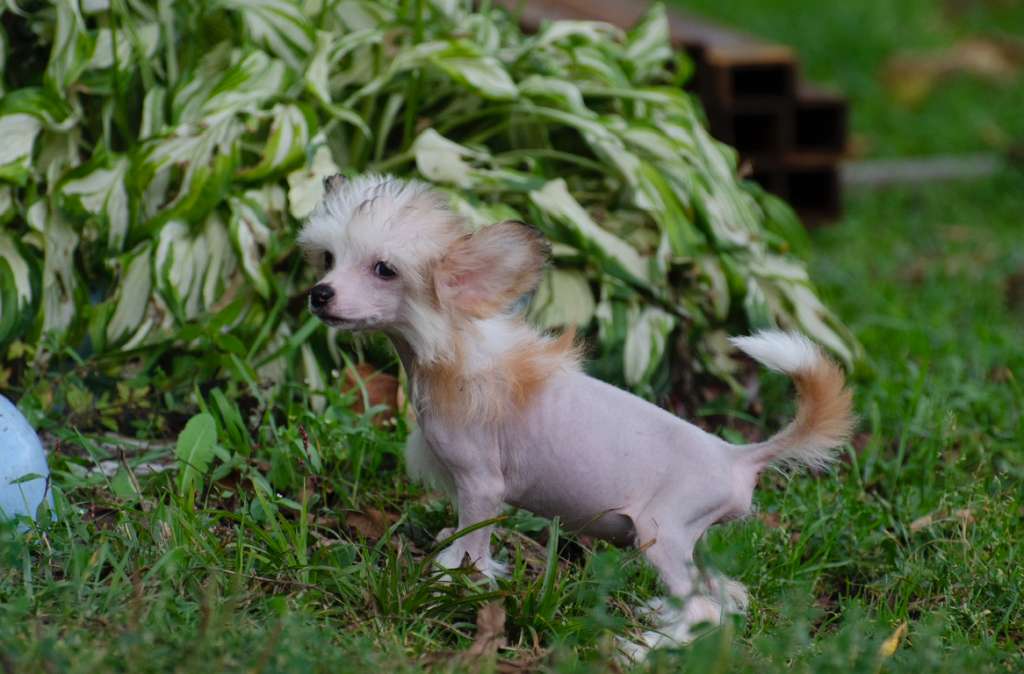 Elance Louange Love Baby