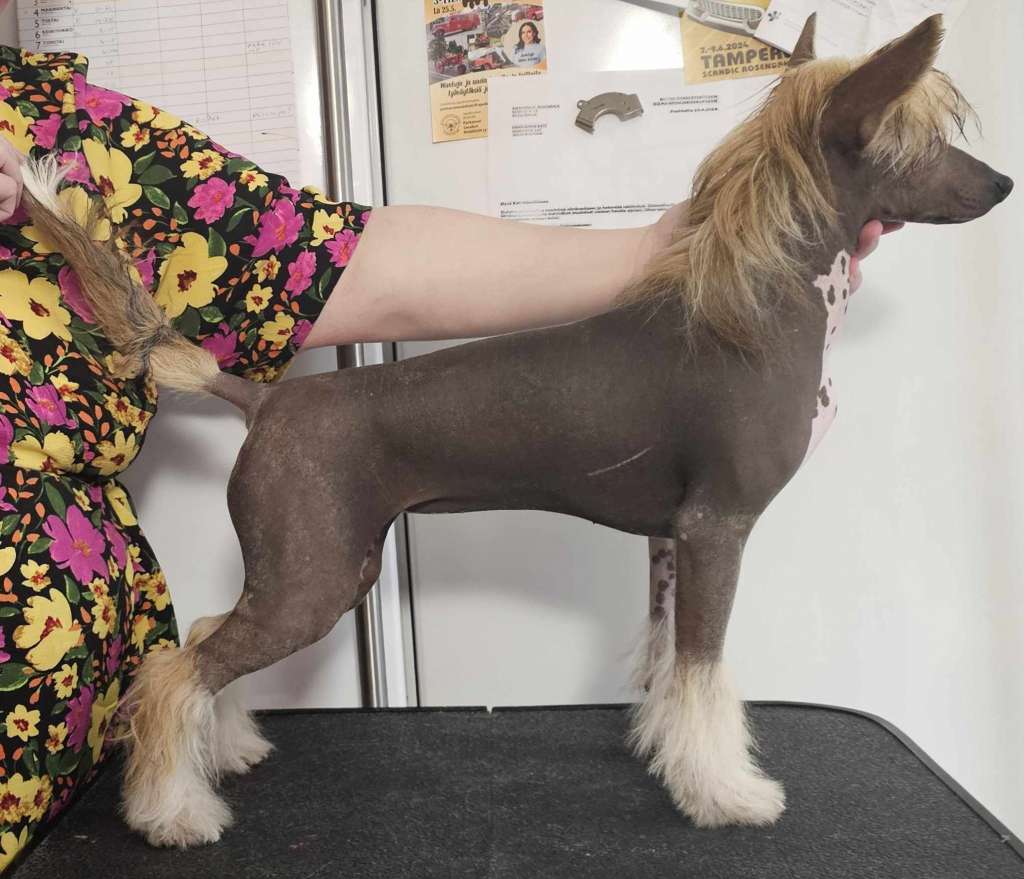 Kaitlin Fifty Shades Of Love