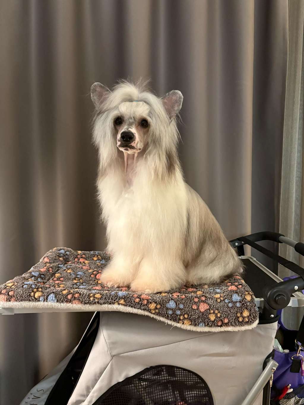 Carpe Canibus Mission Completed