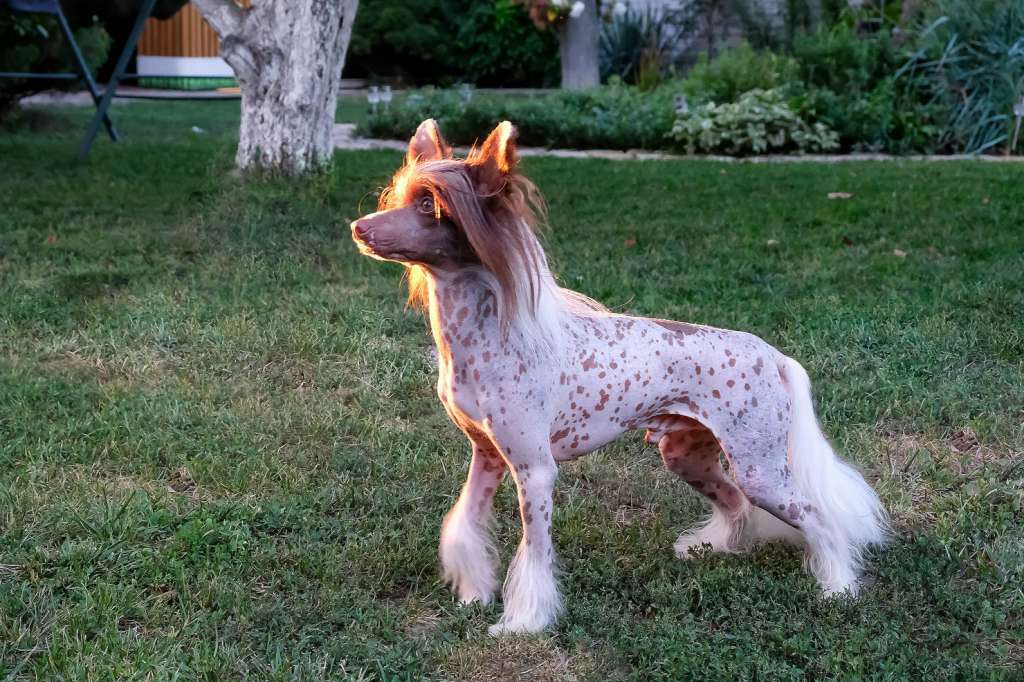 Rem  Minor  El  Tiola