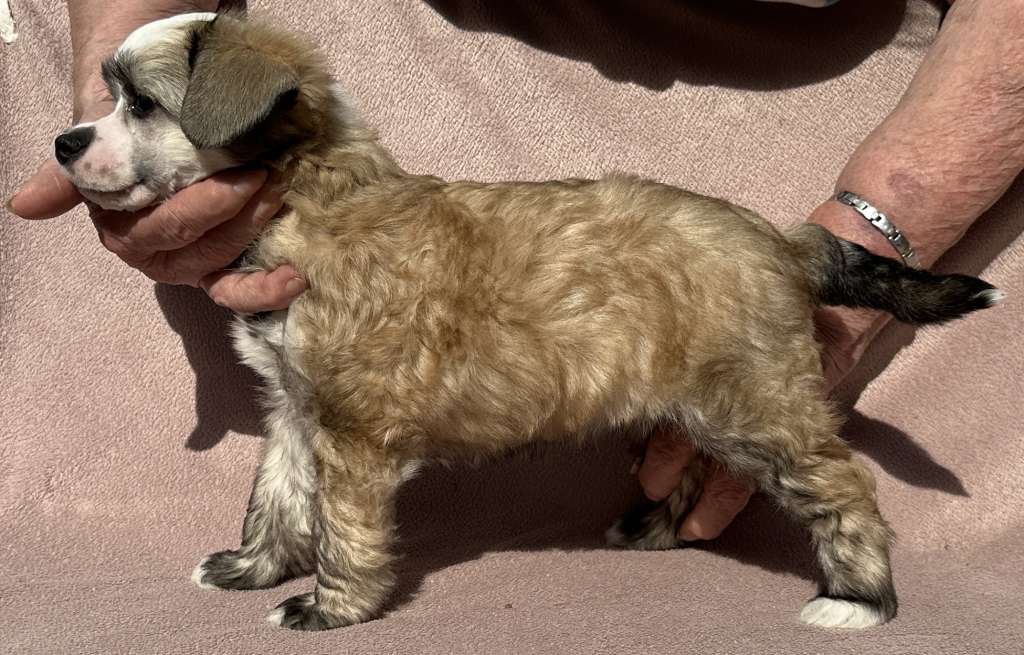 Prefix Sassy In Silk