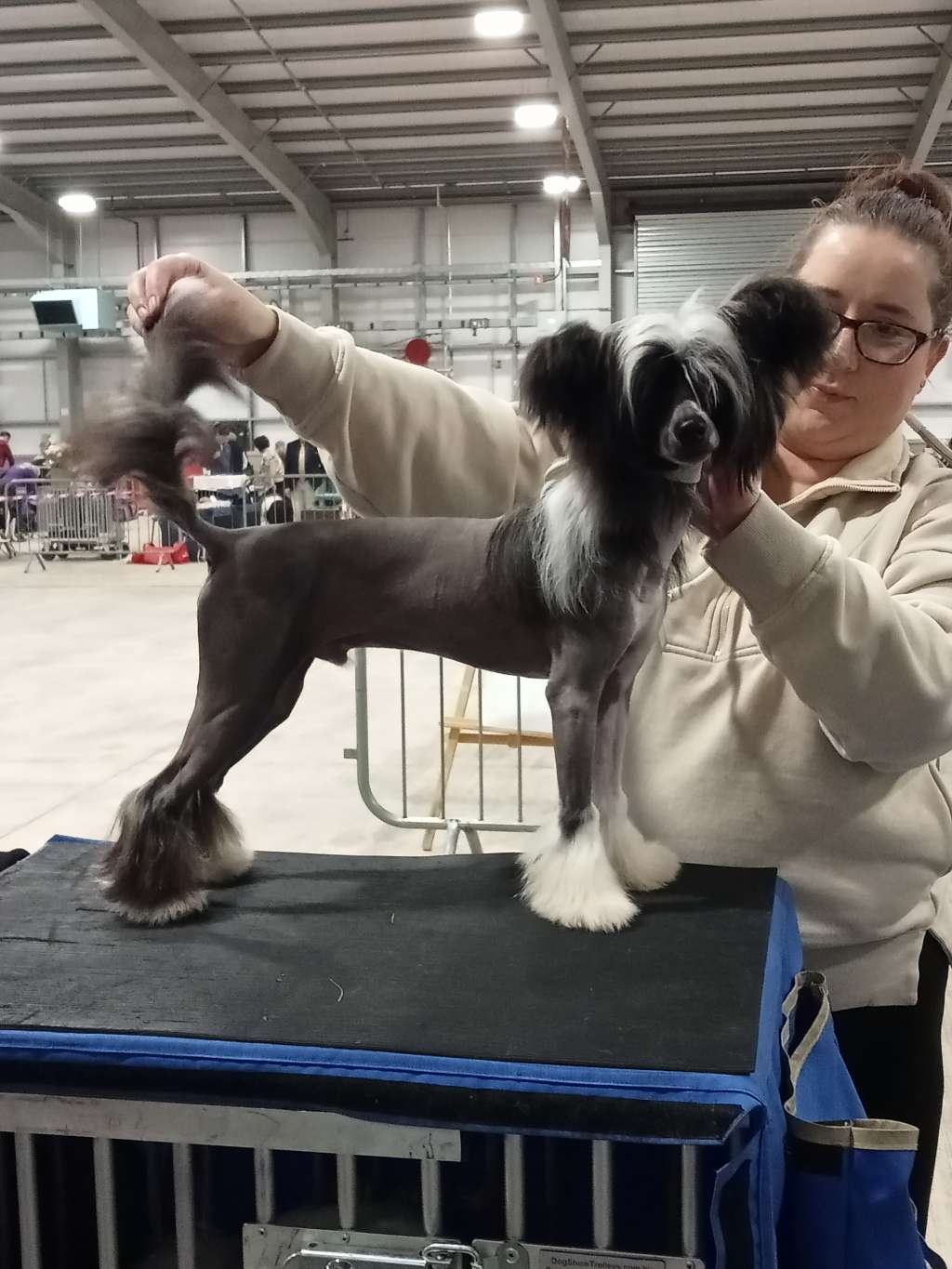 Pufflepaws Love Me Till I Die With Starmarla x1CC