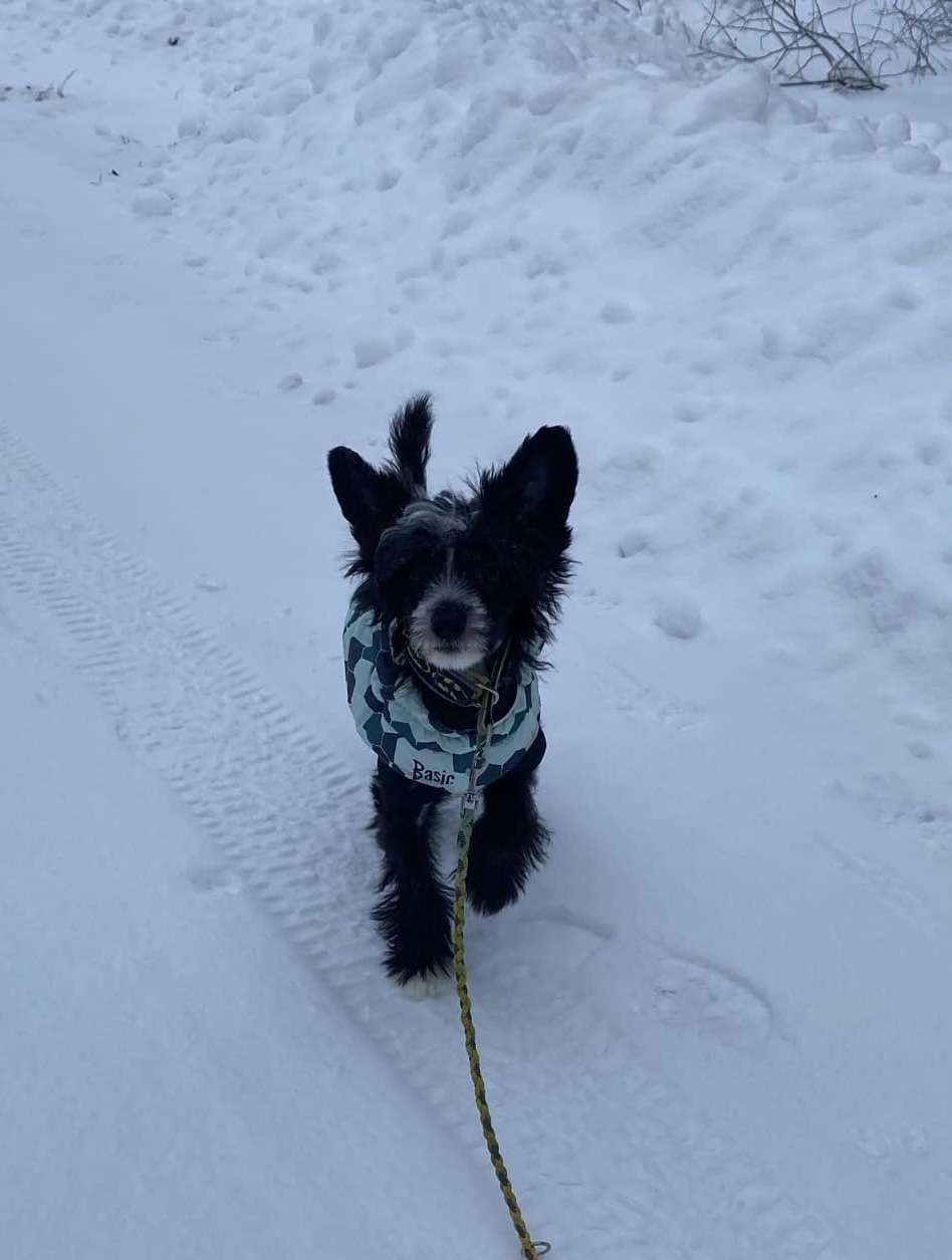 PowerBlackGirls Cameron