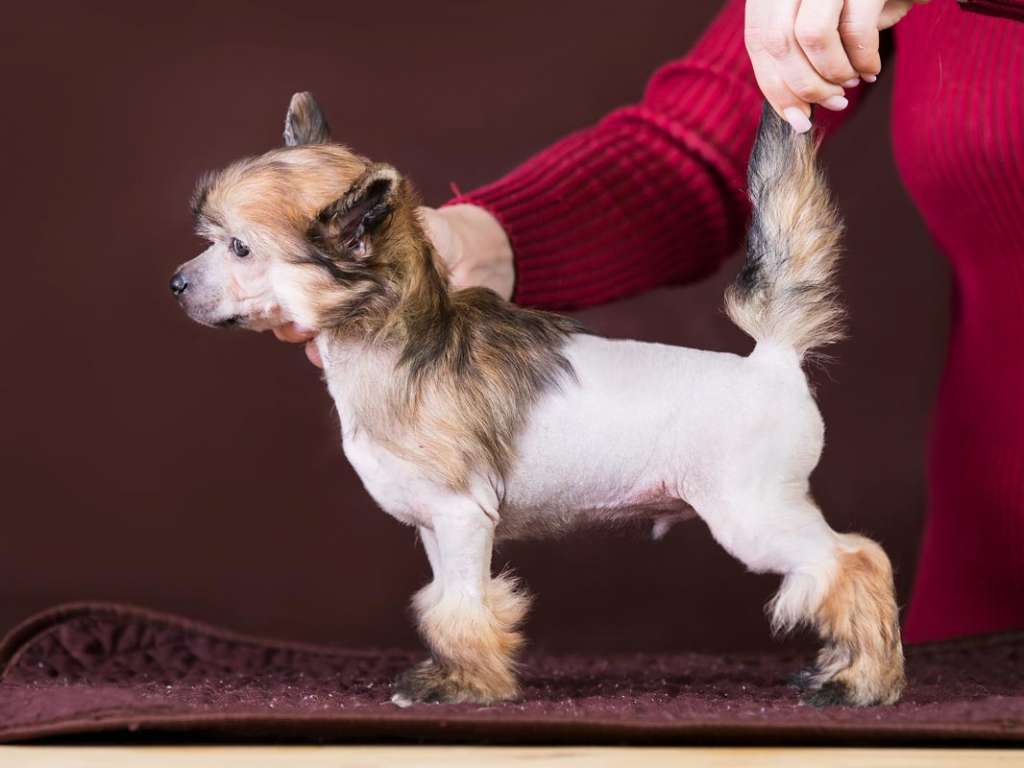 Dionis s Ostrova Utrenney Zary