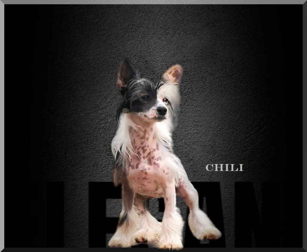 Fundoklia-völgyi Kaszanics Chili