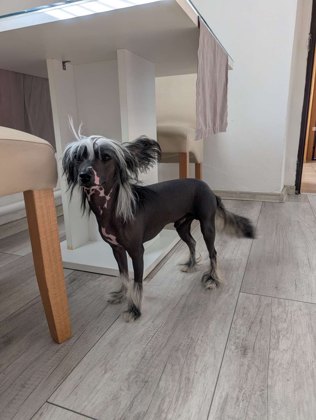 Aragorn Kingdom of Aravern