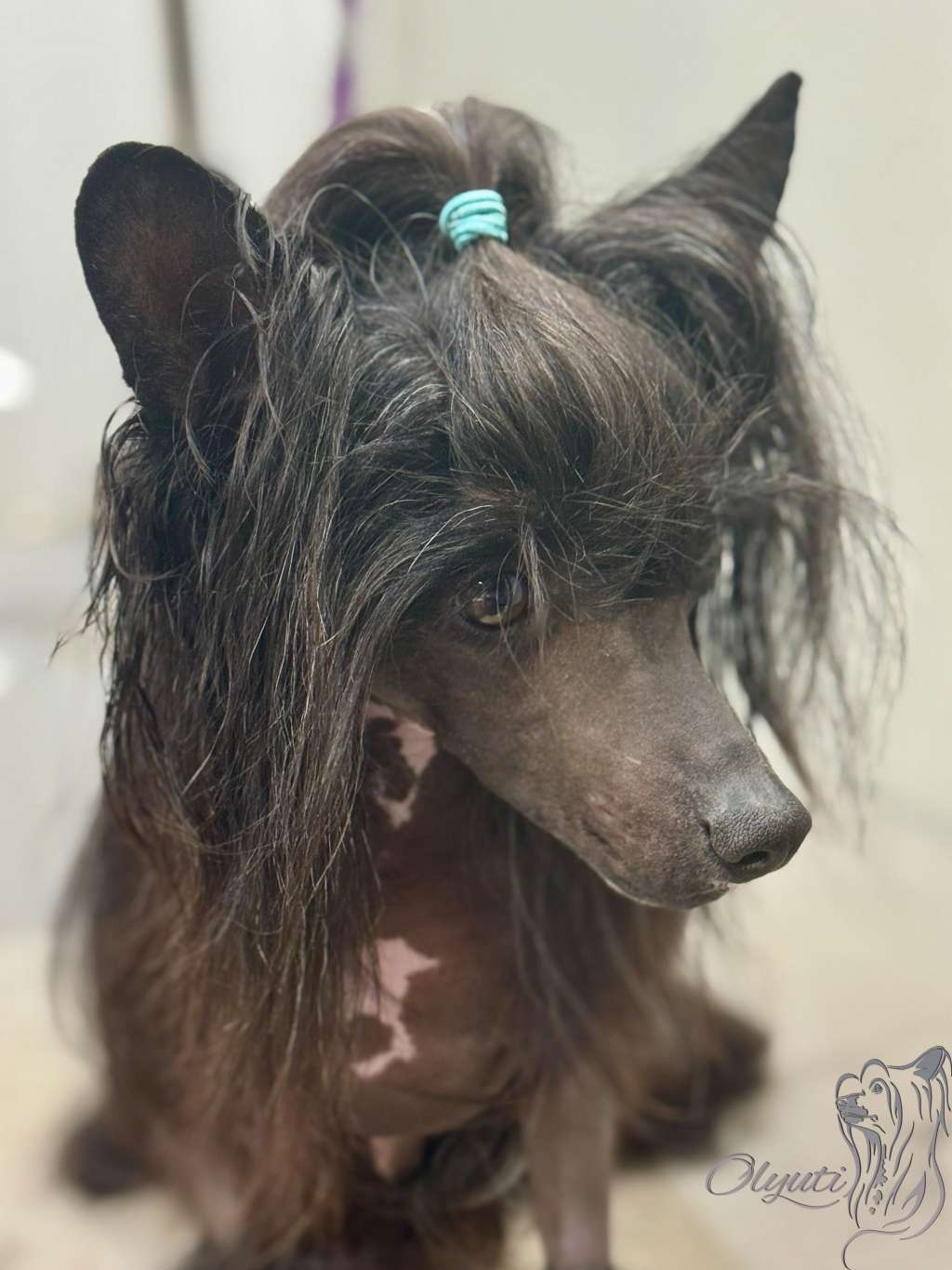 Narciso Crystal Gattaca