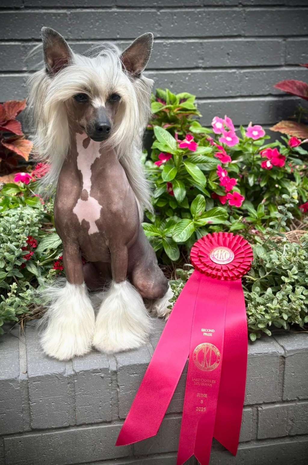 Gracieux My Kink Is Karma