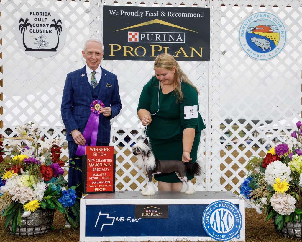 Candela MyAngel Empress of Hollywood