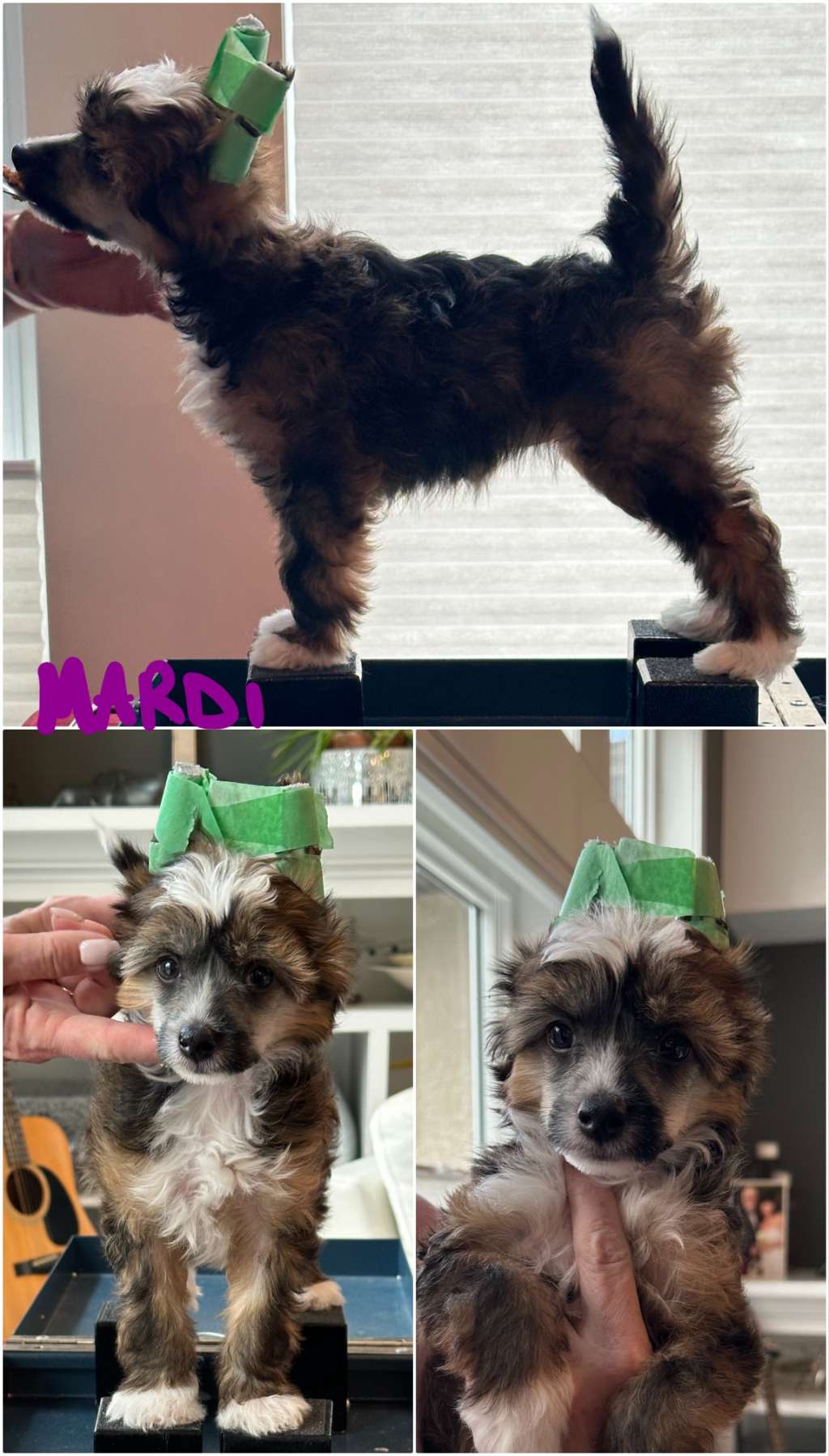 Hex N Wind Party In The Big Easy