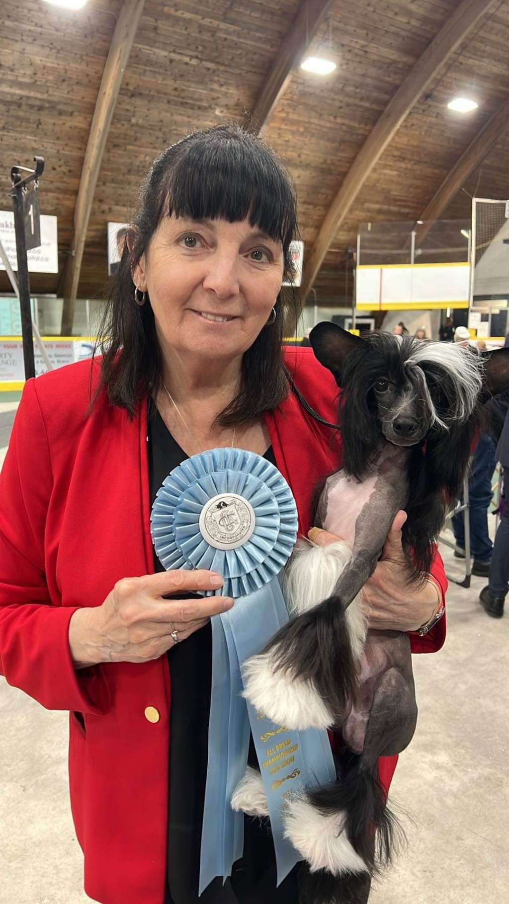 Wind N Hex Live From Bourbon Street