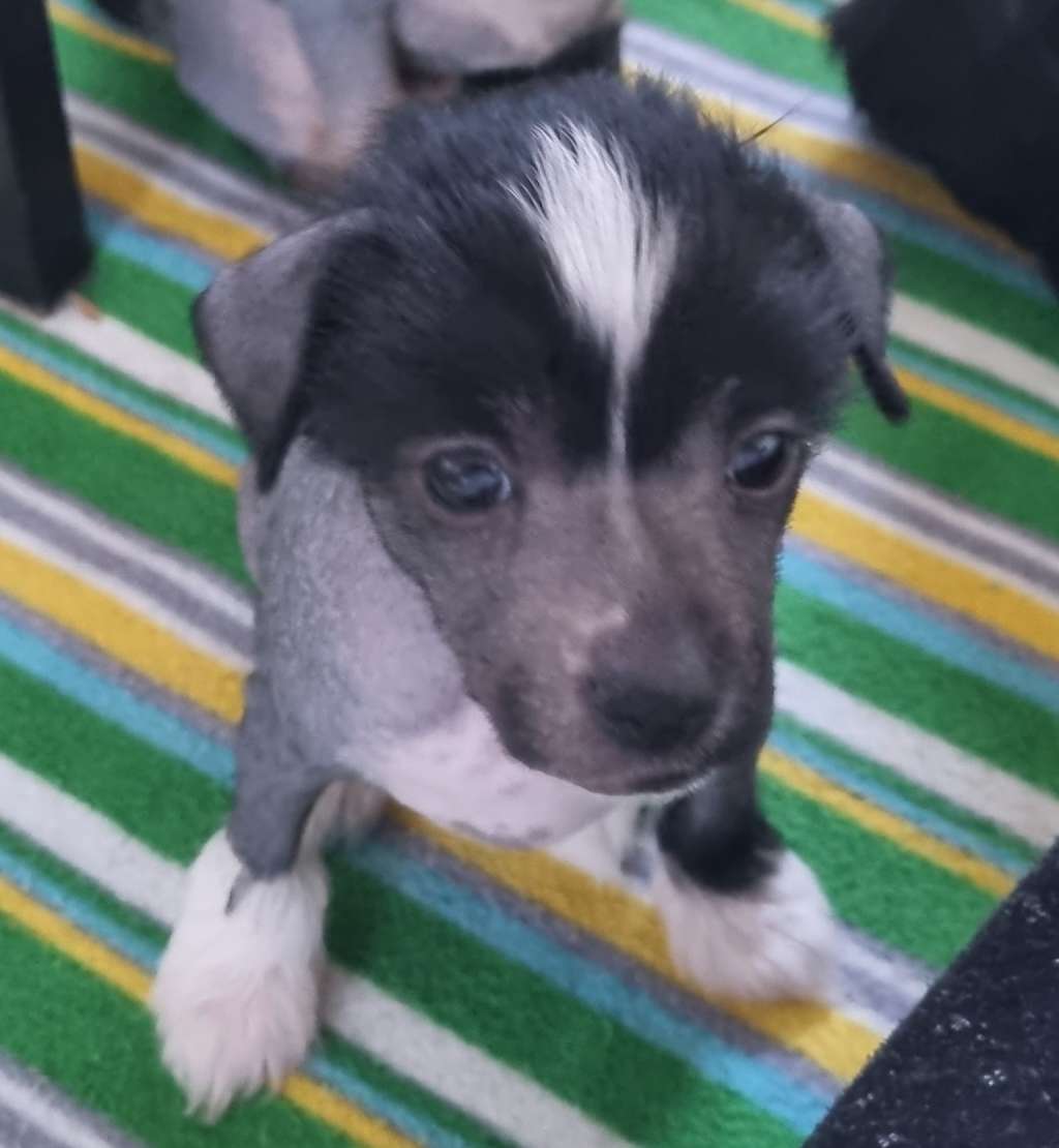 Epadalens Thank You For Loving Me