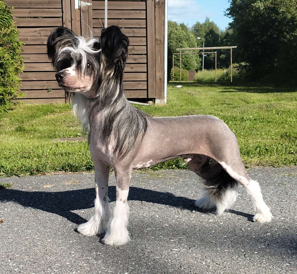 Crestwood Size Does Matter