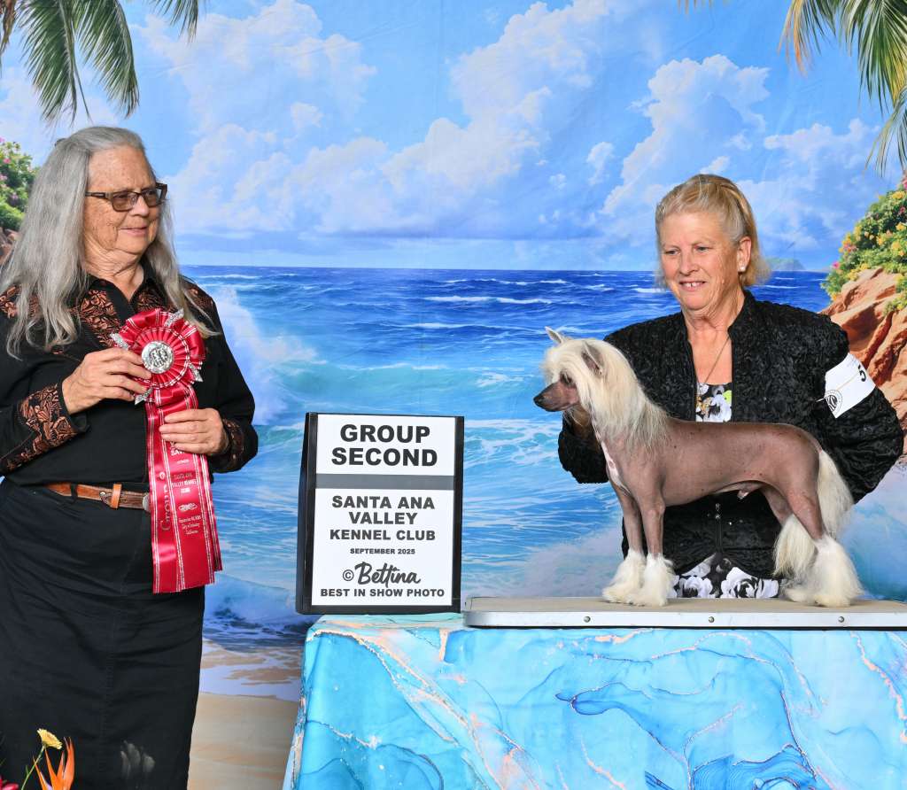 Shida Captain America