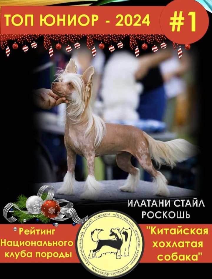 Ilatani Style Roskosh