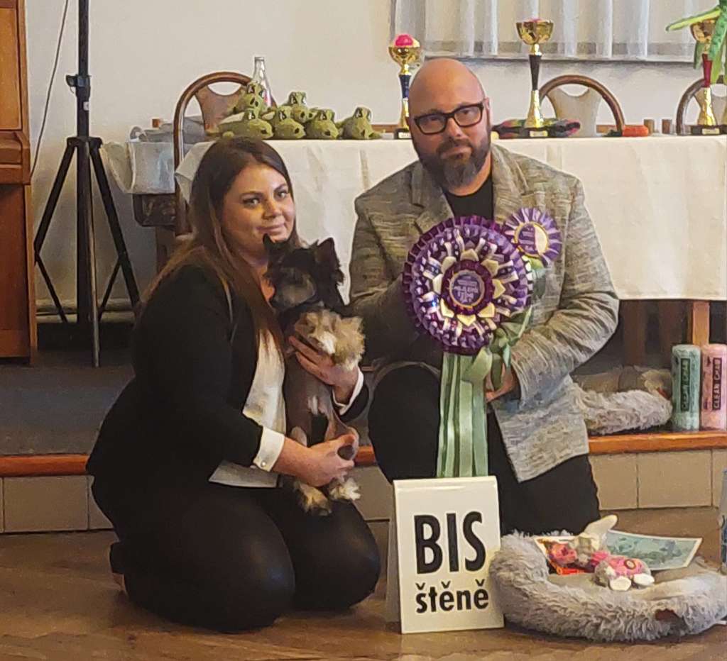 Valentino Cordis Cool Lady