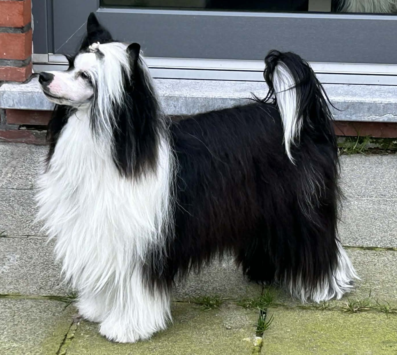 Zero Tolerance Xpect The Unxpected