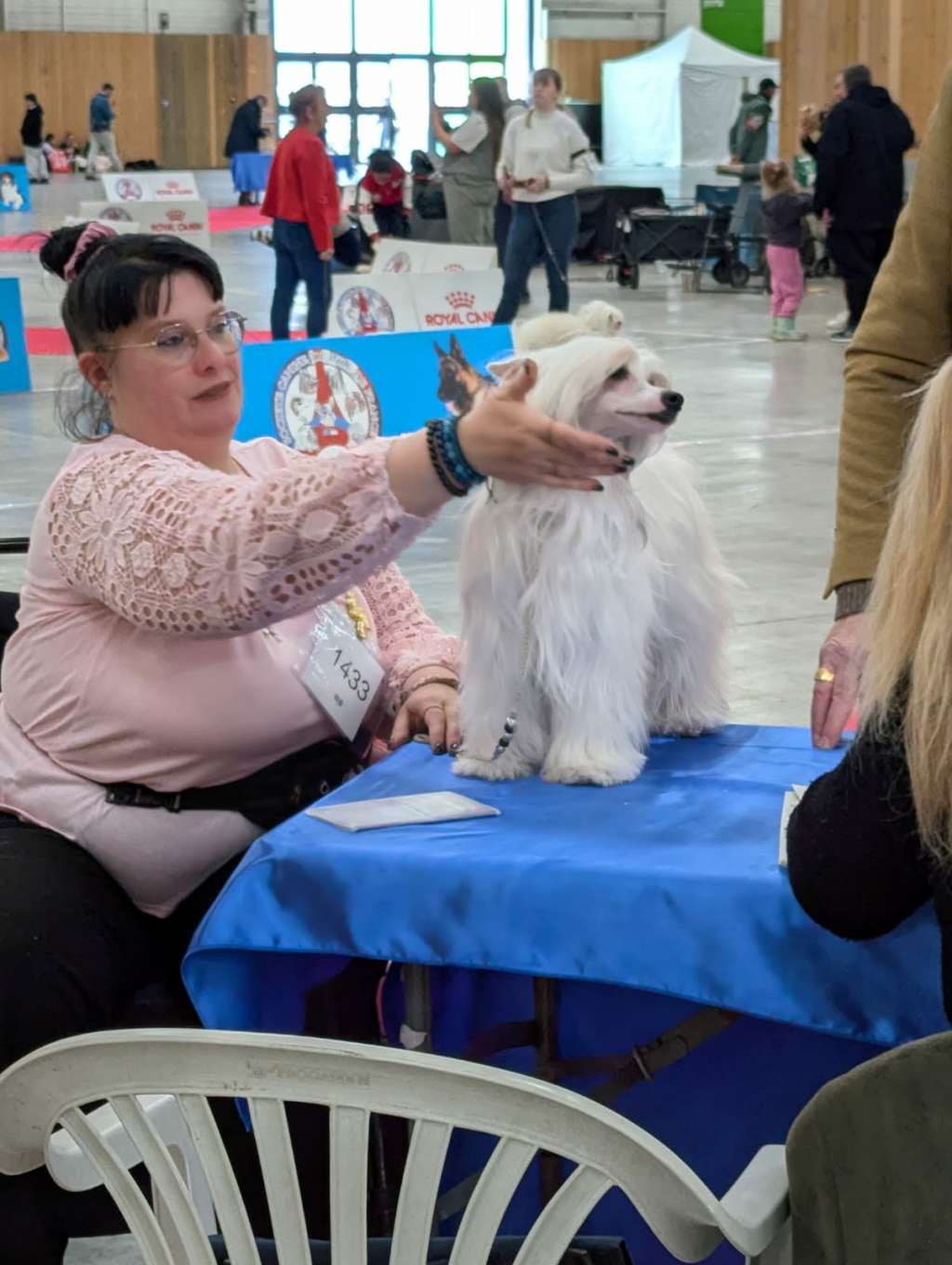 Zero Tolerance Xplore The Unknown