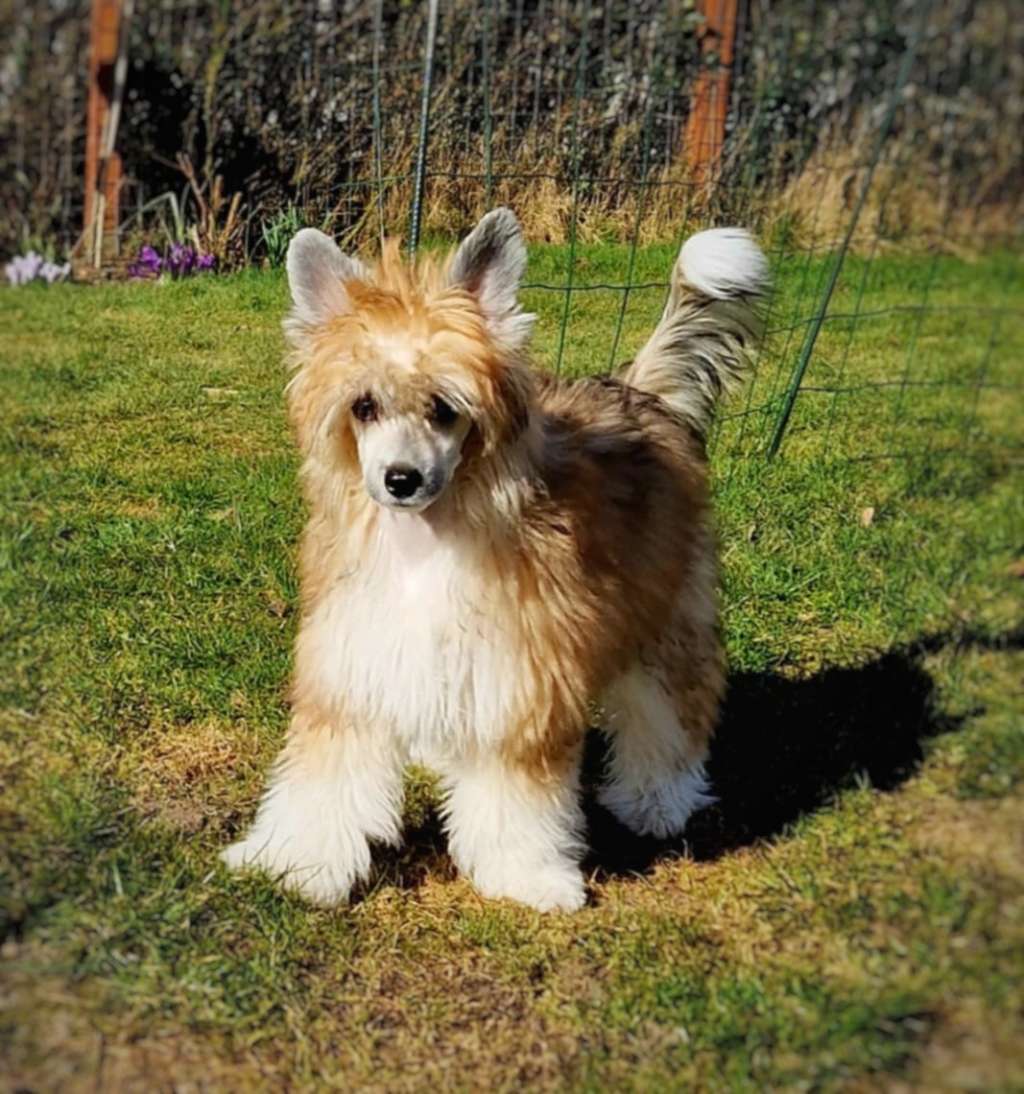 EXxiino's Game On Kit'Kat