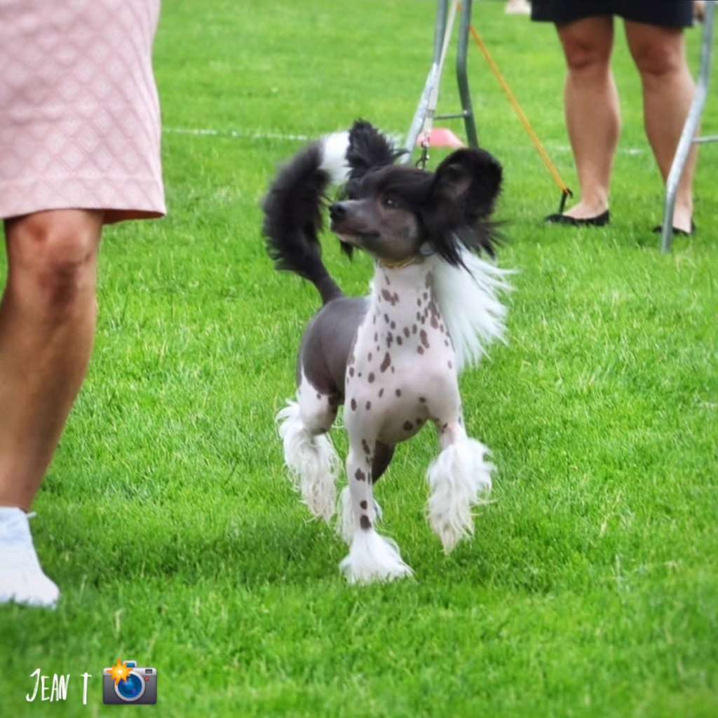 EXxiino's Go Bounty'Licious