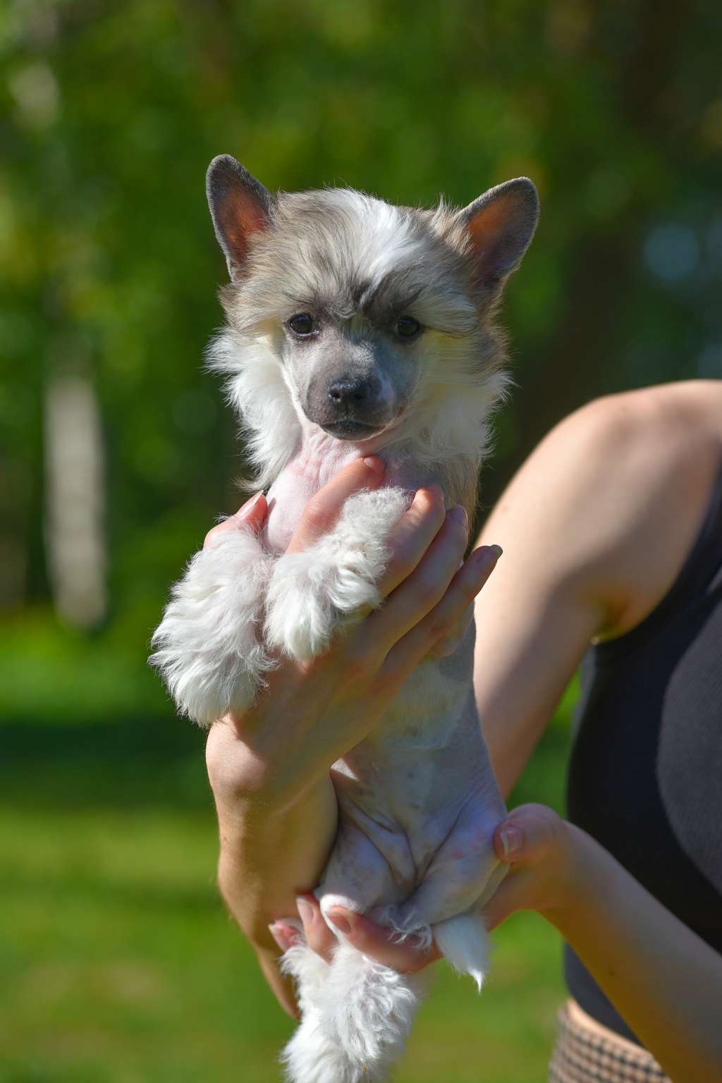 Kraspamir Incredible Beauty