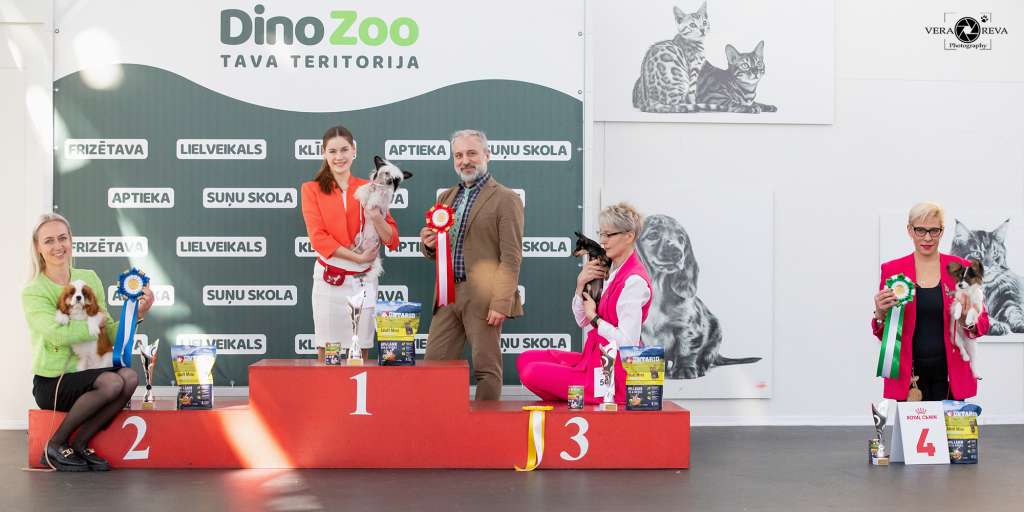 Kraspamir Jolly Pin-Up Girl