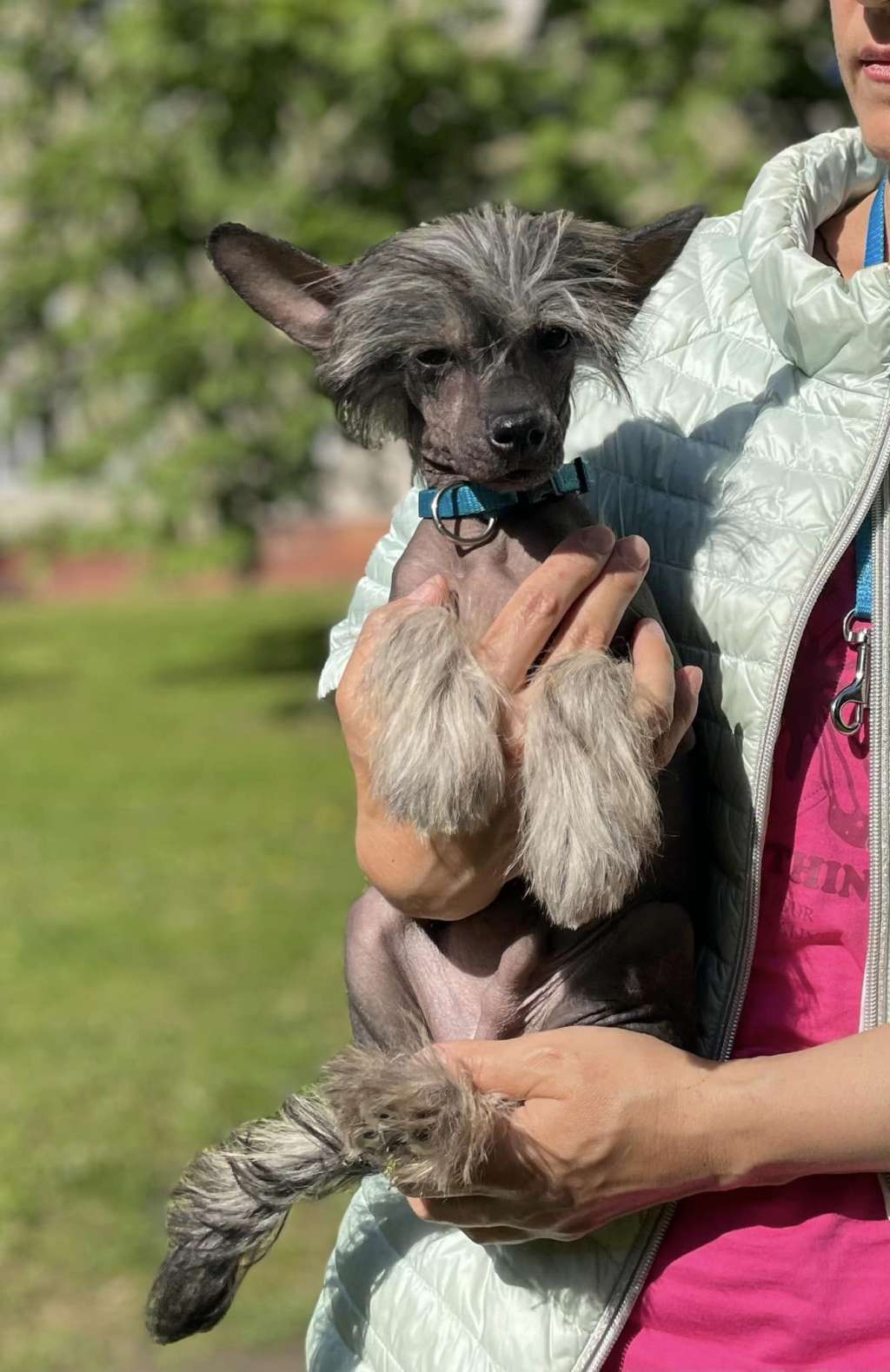 Kraspamir Kaleidoscope Of Smiles