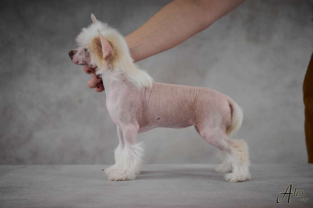 Kraspamir Kalinka-Malinka