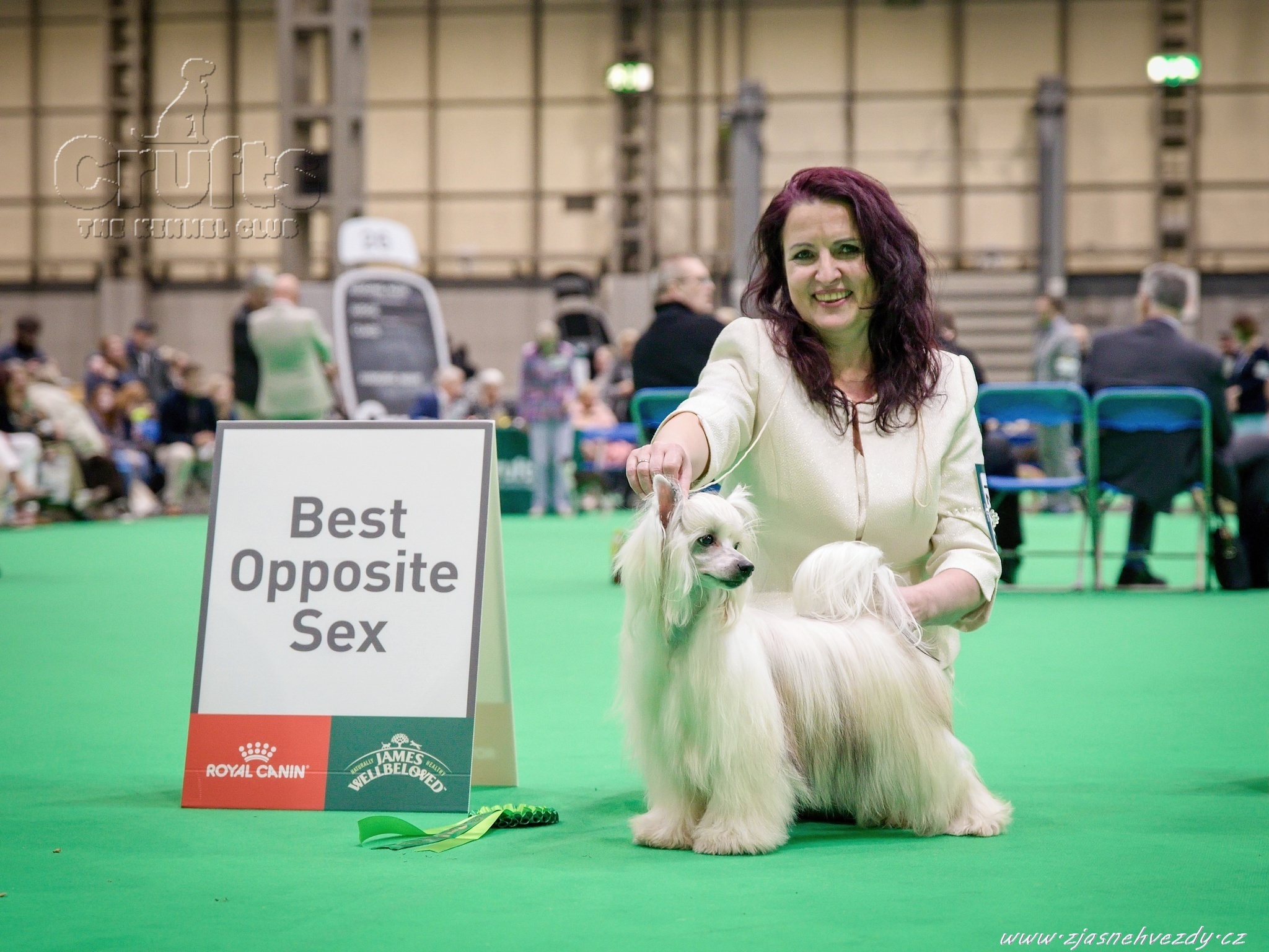 Hanny z Jasne hvezdy