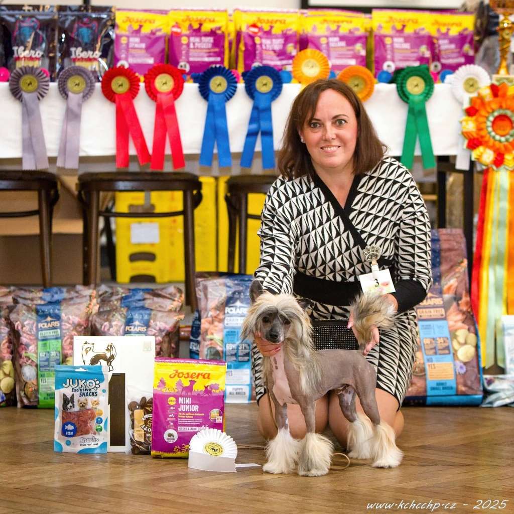 Faberge Diamonds Chinese Butterfly