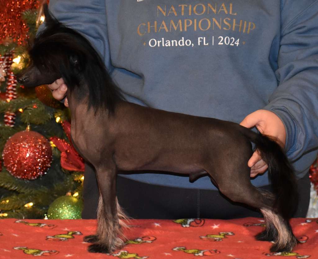 Blanch-O Kaylen Ariella Friend Not Food