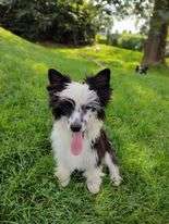 Xmas Candy z Andelovy dlane