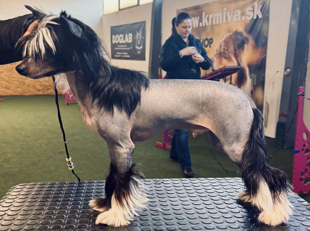 Famrus Magnetic Personality