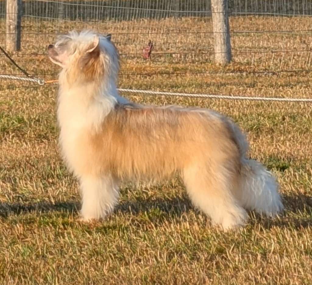 Gardine Let The Story Be Told