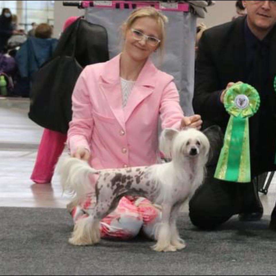 Again Elegance Diamond Place