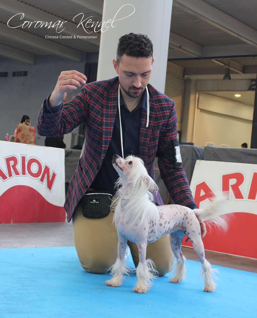 Magnus Staff Flower Power