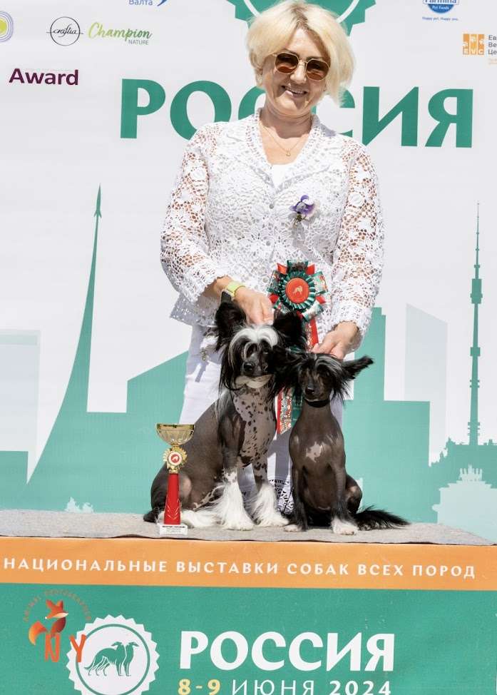 Star Level Liberta