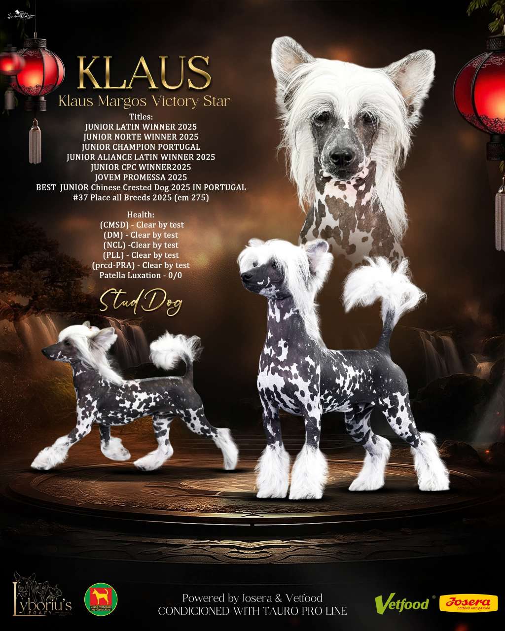 Klaus Margos Victory Star