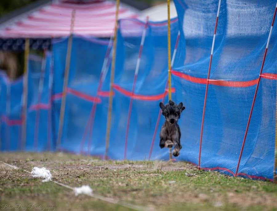 Kaylens So Spontaneous! At Stillmeadow