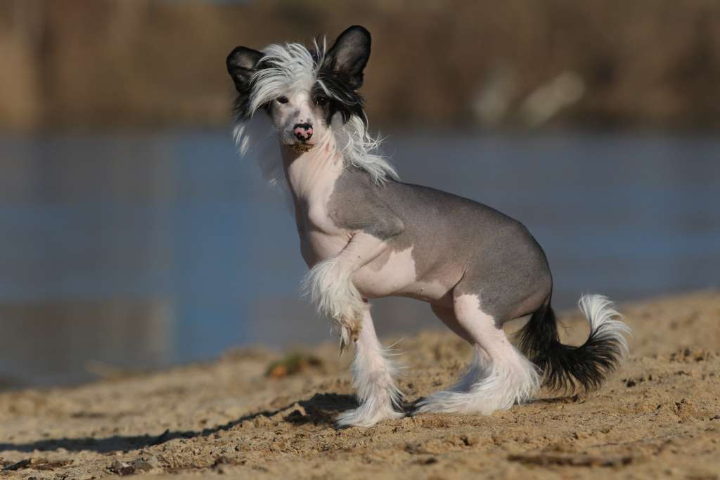 Million Reasons Aschabey