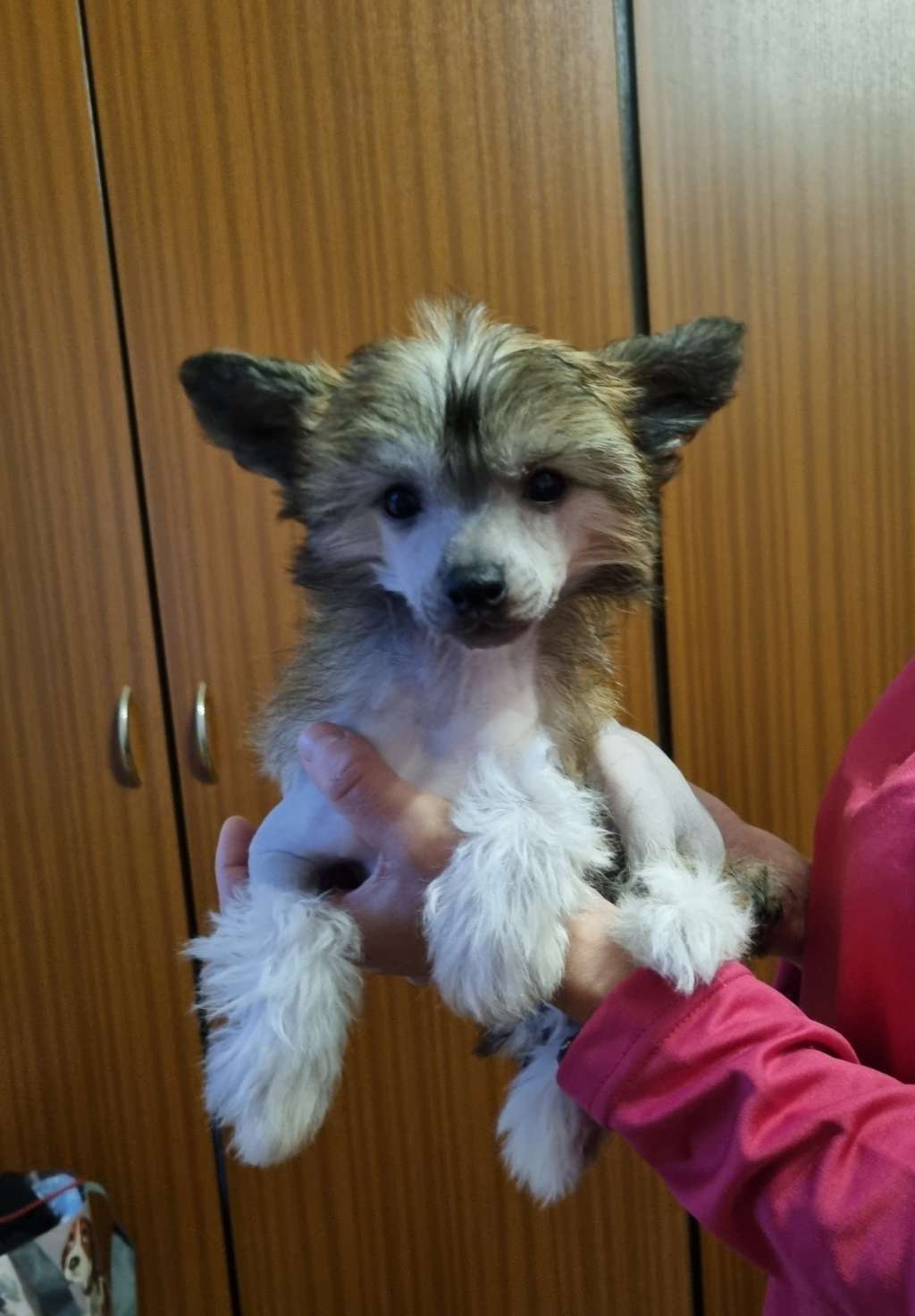 Debbie Jedeansa Viane