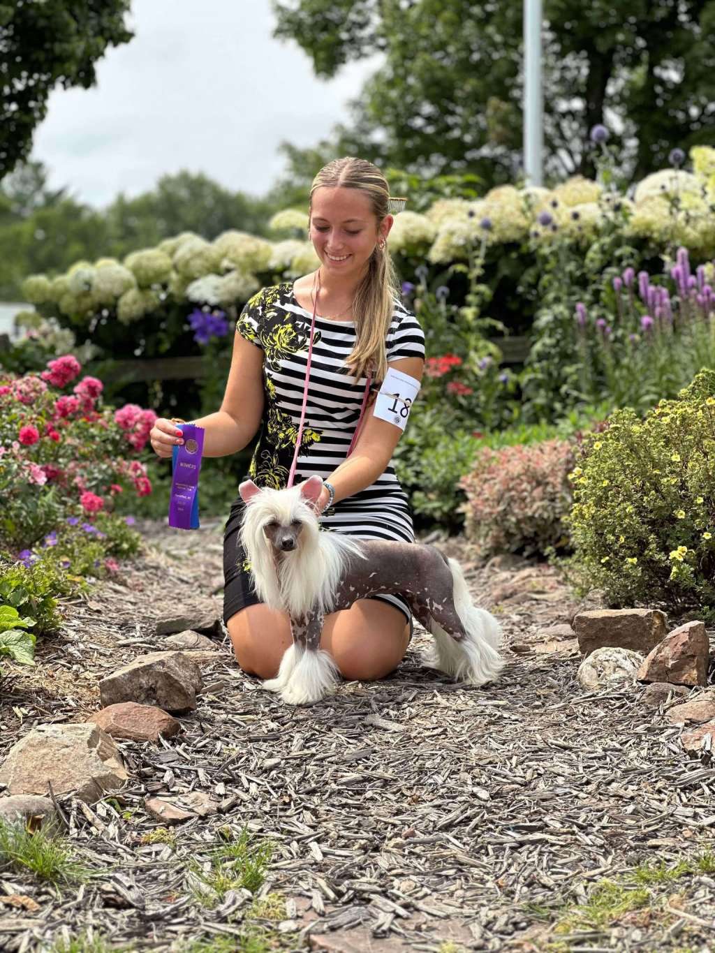 EverCrest's Party Girl