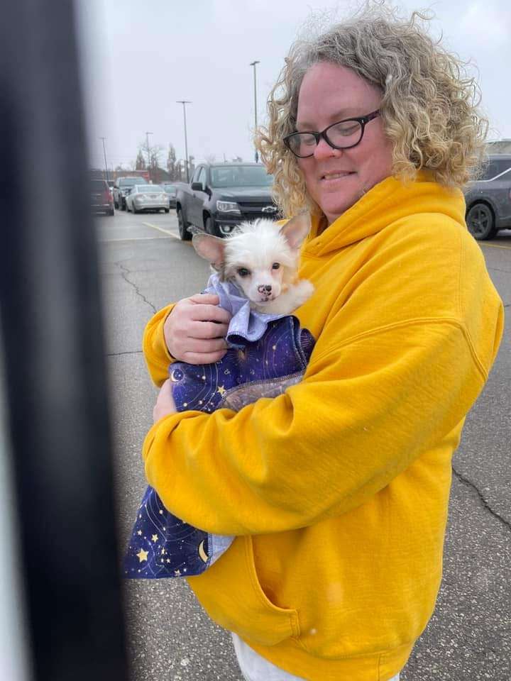 Sassytails I m A Lover Not A Fighter