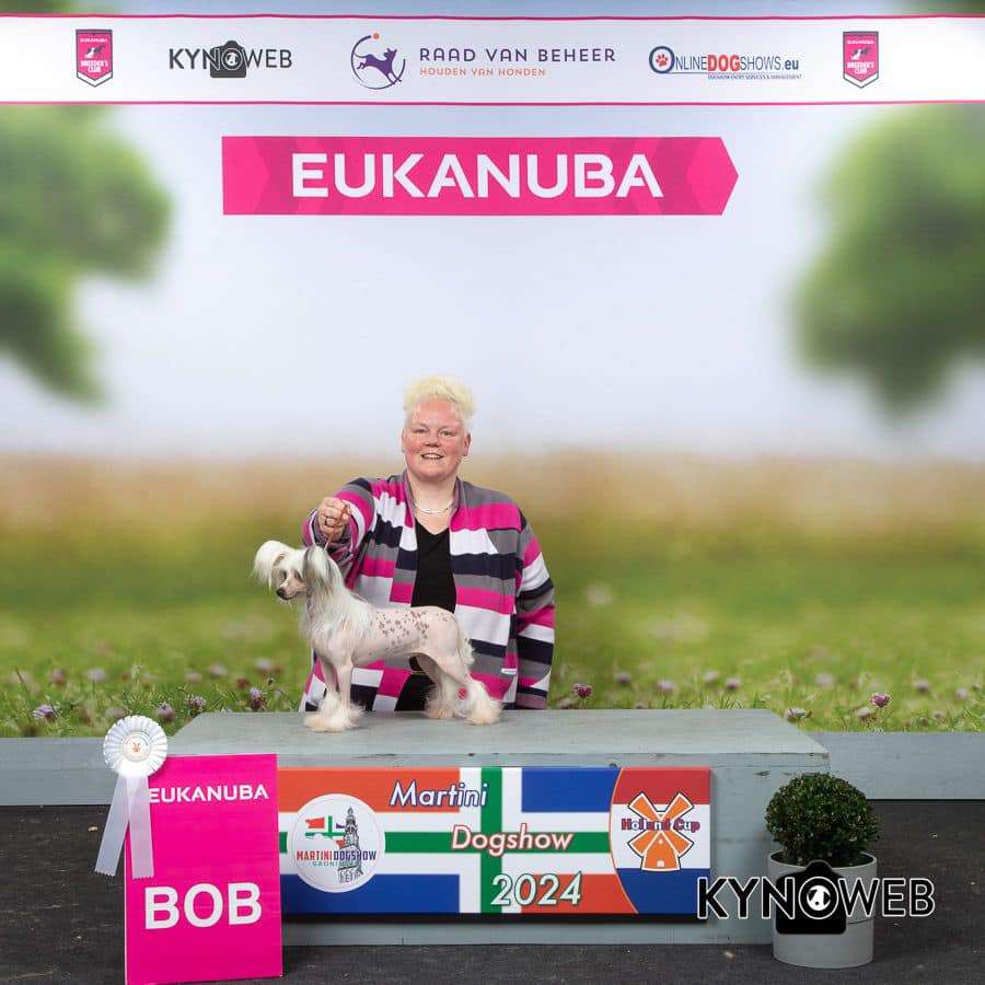 Happy Dancing Naked Obsession