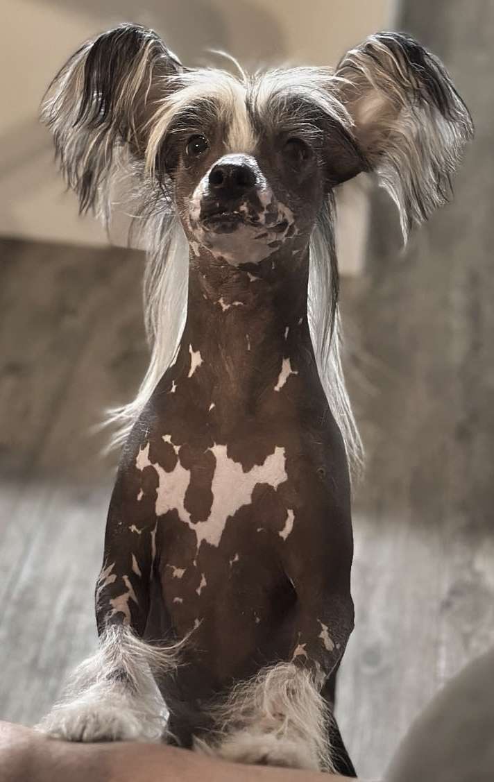 Nobul cc Bare Derriere