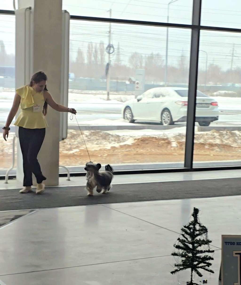 Anna Sky Kennel El Patron