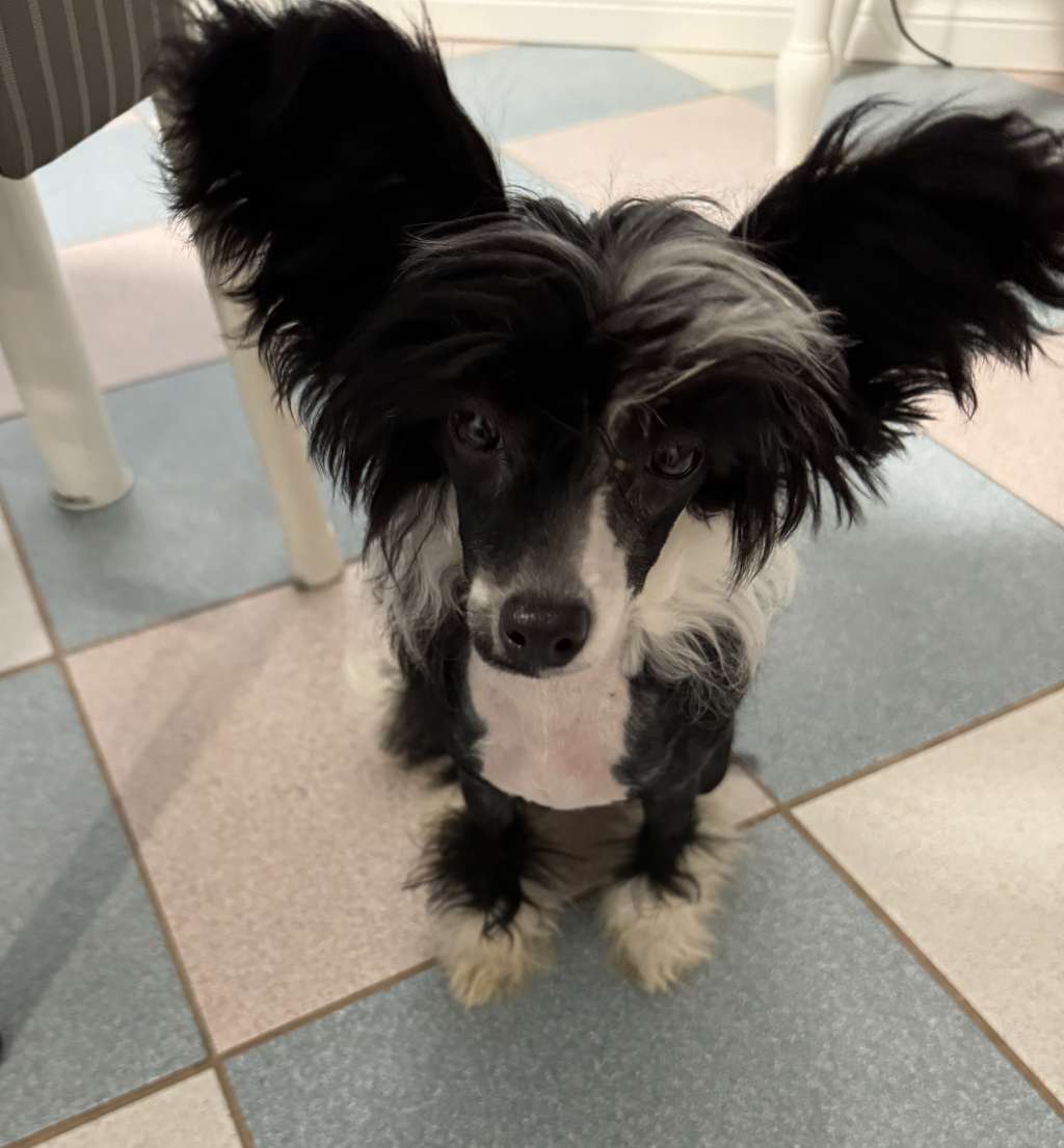 Taja Leave Him To Me