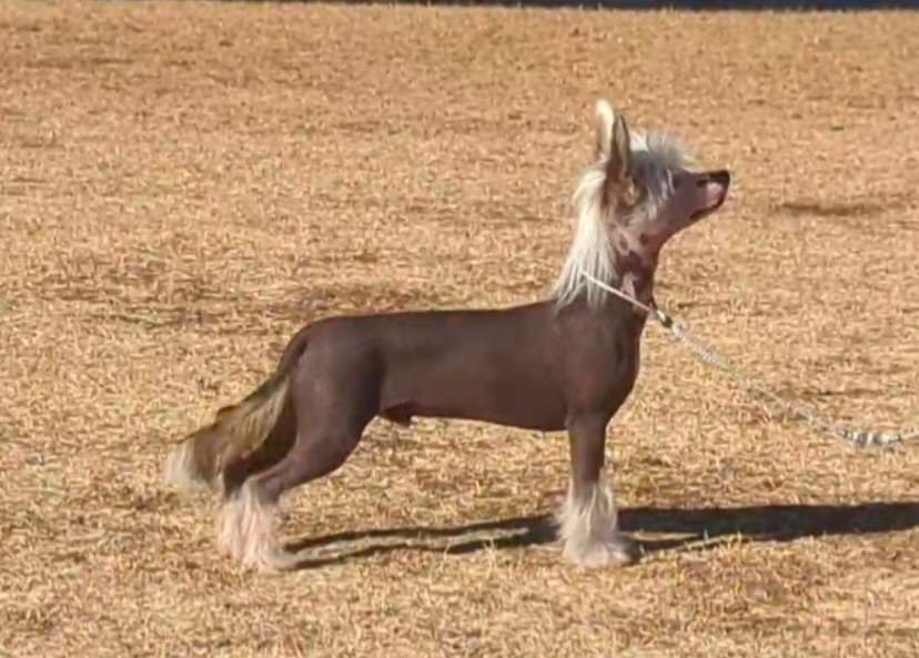 Taja Worth The Weight