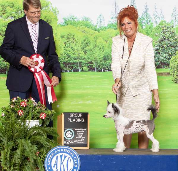 Gch Edelweiss Welcome To The Jungle