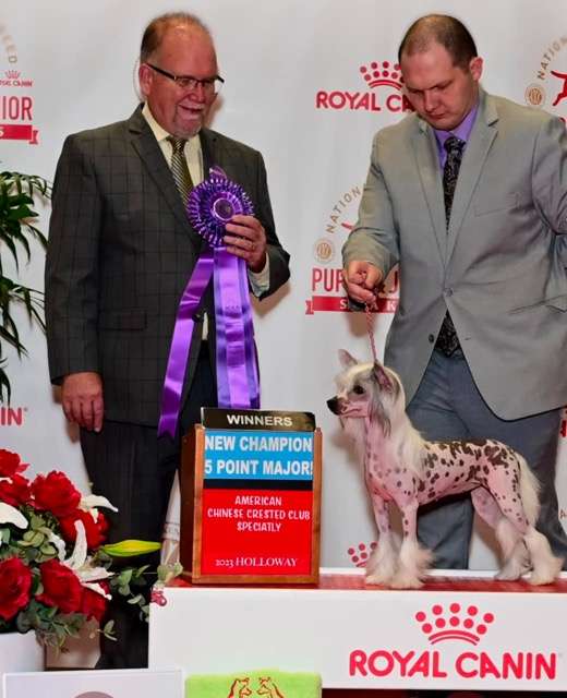 CH Just Cresteds Turn Back Time